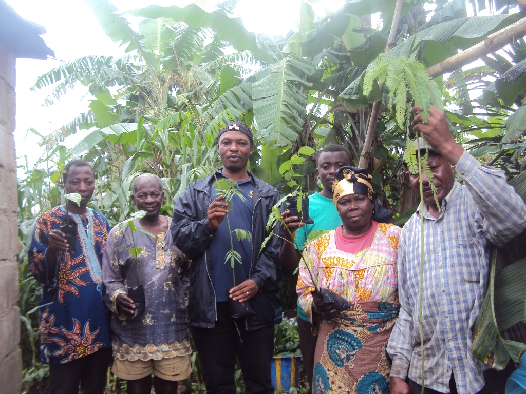 Green Cameroon Plants 500 Trees Around Mount Cameroon Green Cameroon